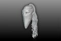 Most Wanted mask ripped